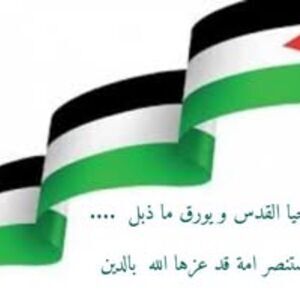 Mohamed H.