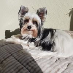 Didier Bernadette M.