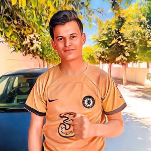 Hammedi S.