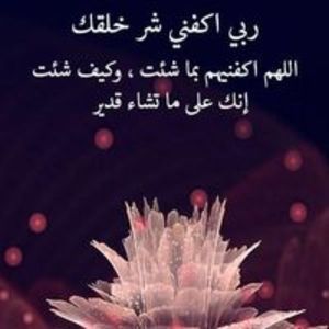 نورالدين ا.