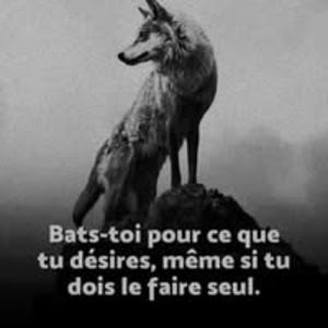 Abou M.
